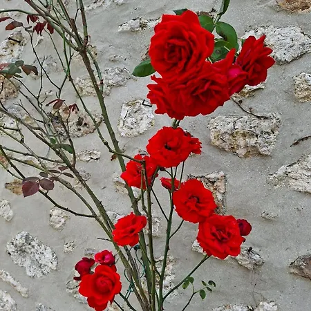 Au Detour Du Morin *